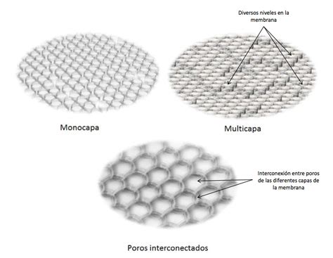 Imágenes de membranas en monocapa multicapa y con poros