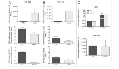 Effect Of AzadC On RANKL And OPG Expression In HEK 293 Cells And