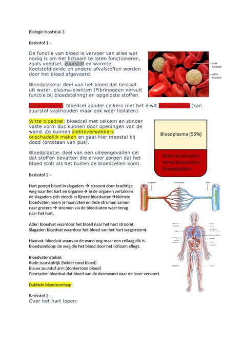 Bio Samenvatting Hoofdstuk 3 Biologie Hoofstuk 3 Basisstof 1 De