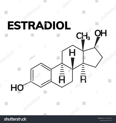 Estradiol Chemical Structure Woman Sex Hormone Stock Vector Royalty Free 2138819225 Shutterstock