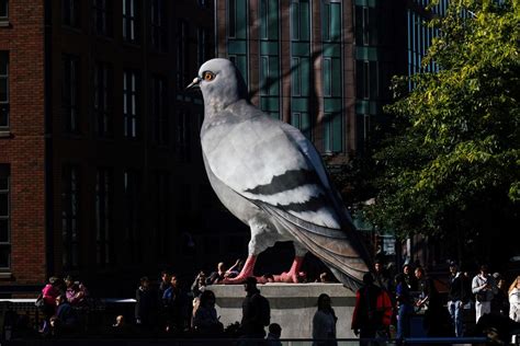 Is it a pigeon, dinosaur, or both? Giant statue in NYC brings birds to new heights