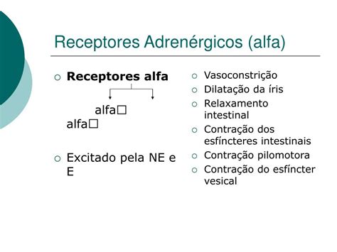 Ppt Fibras Receptores E Neurotransmissores Do Sistema Nervoso