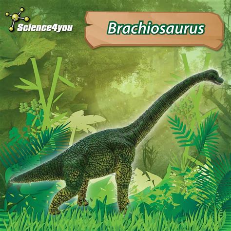 Prehistoric Kingdom Brachiosaurus Moliarizona