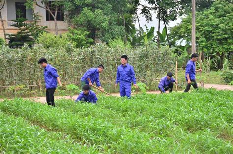 Nâng cao hiệu quả hoạt động Cơ sở cai nghiện ma túy số II