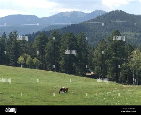 Camping trip. Pecos, New Mexico Stock Photo - Alamy