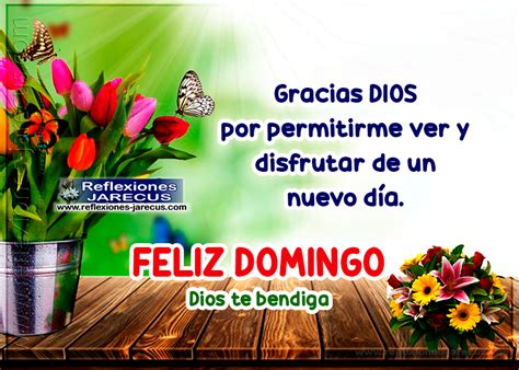 Gracias Dios Por Permitirme Disfrutar De Este Día Feliz Domingo