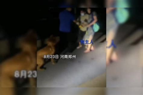 女子公园内多次遛狗不拴绳，狗狗下河追着天鹅跑，志愿者上前阻拦！下河天鹅狗狗