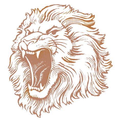 Png Lion Head Roaring Transparent Lion Head Roaringpng Images Pluspng