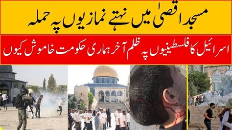 Israel Ka Palestine Py Zulm Humari Govt Khamosh Ku YouTube