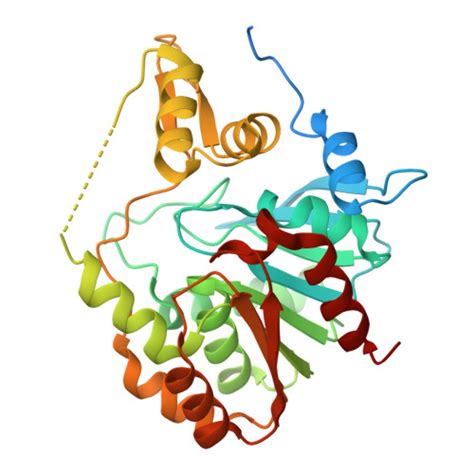 RCSB PDB - 3P2M: Crystal Structure of a Novel Esterase Rv0045c from ...