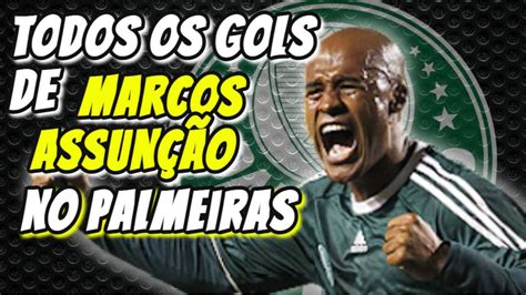 Todos Os Gols Do Marcos Assunção Pelo Palmeiras Youtube