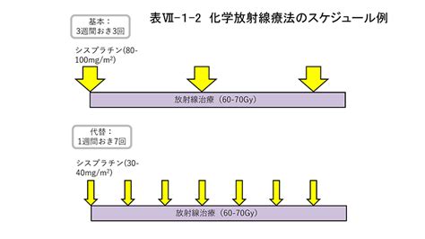 化学療法｜日本頭頸部癌学会 頭頸部がん情報