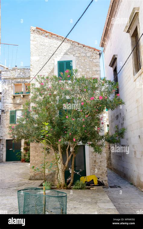 Architecture Of The Old Town Of Sibenik Croatia Stock Photo Alamy