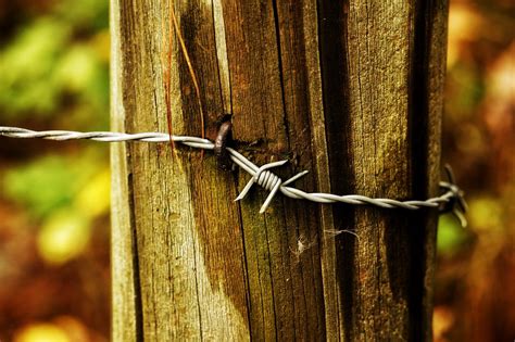 Dont Fence Me In Timmerman Trail Cayce Sc Flickr