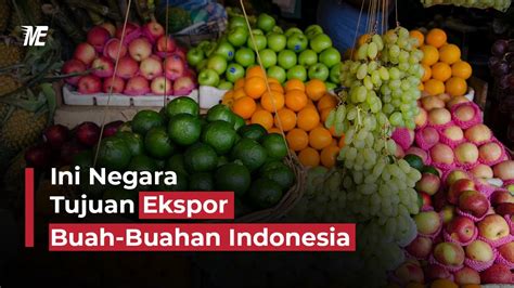 17 Negara Tujuan Ekspor Buah Indonesia Paling Tinggi Misterexportir