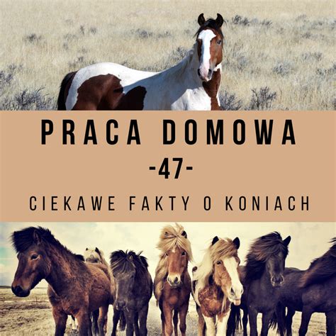 Praca domowa 47 Ciekawe fakty o koniach Szkoła Alfa Horse