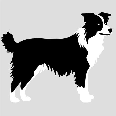 Perro De La Raza Border Collie Silueta En Blanco Y Negro Vector Premium