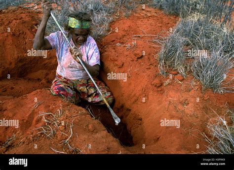 Lingua Indigena Australiana Immagini E Fotografie Stock Ad Alta