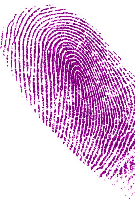 Forensic Fingerprinting Analysis And History Investigating Detectives