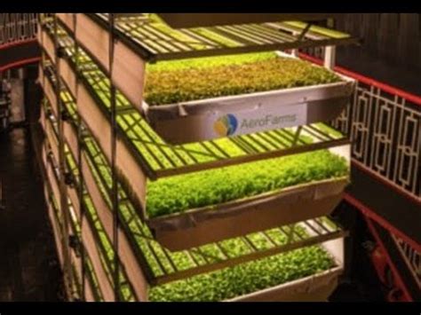 Aerofarms The World S Biggest Vertical Farm Youtube