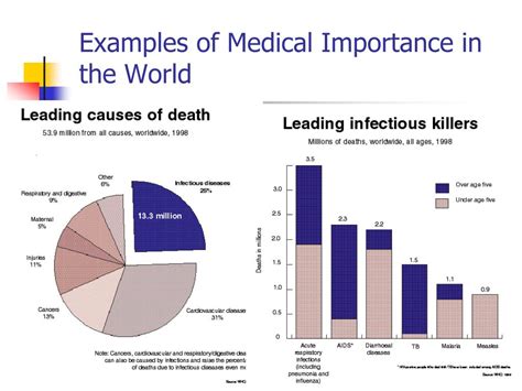 Ppt 人体寄生虫学 Human Parasitology Powerpoint Presentation Free Download