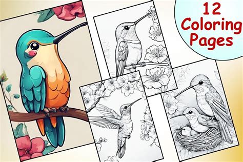 Realistic Hummingbird Coloring Pages Graphic By Catchy Ideaz · Creative