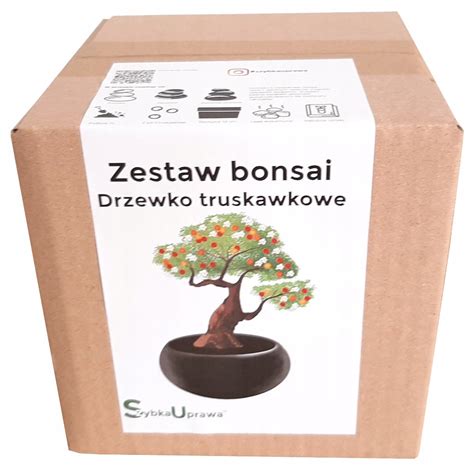 Zestaw Do Uprawy Bonsai Drzewko Truskawkowe Czarny