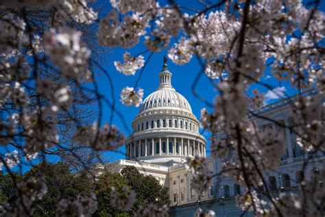 How Every House Member Voted On The 1 2 Trillion Government Funding