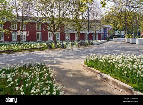 Warwick University campus Stock Photo - Alamy