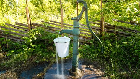 Tipps zur Bewässerung Wie man Wasser spart und Pflanzen optimal