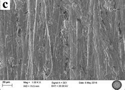 SEM Images Of The Metal Coupon Surfaces Immersed In 1 0 M HCl For 24 H