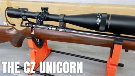 Best 22lr Rifle Cz 453 American Review Sst Youtube