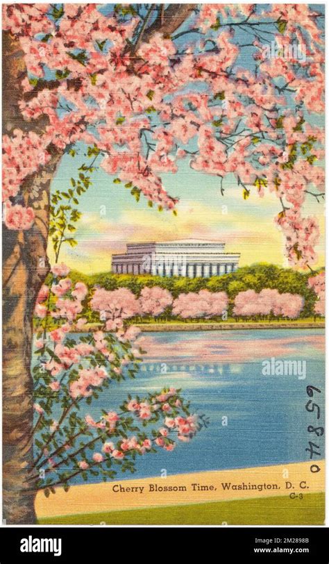 Cherry Blossom Time Washington D C Monuments And Memorials Tichnor