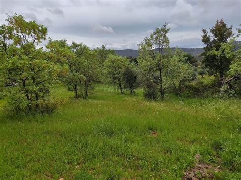 Terreno Venda Na Estrada Sem Nome Penamacor Idealista