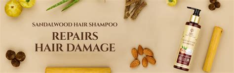 guide  choose   shampoo   hair  hair shampoo