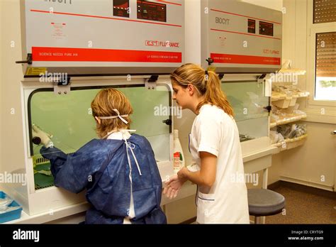 ASEPSIS Stock Photo - Alamy 