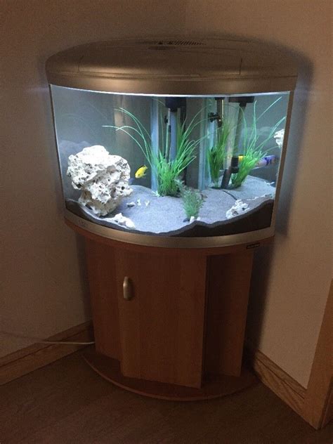 Corner fish tank and stand | in Kirk Ella, East Yorkshire | Gumtree