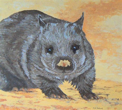 Wombat Painting at PaintingValley.com | Explore collection of Wombat ...