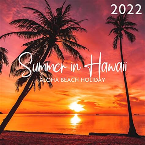 Play Summer In Hawaii Aloha Beach Holiday 2022 Sunny Hawaiian Rhythms