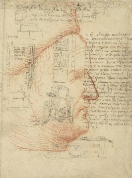 La scoperta Leonardo da Vinci disegnò il lato nascosto di Federico da