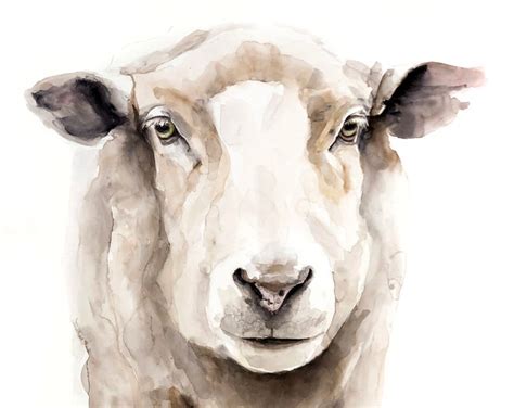 SHEEP Painting, SHEEP Art, Watercolor Sheep, Watercolour Sheep, Farm Art, Wildlife Art ...