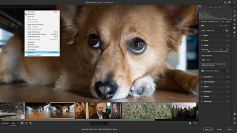 Finally Adobe Denoise Brings Photoshop Lightroom NR Into The Modern