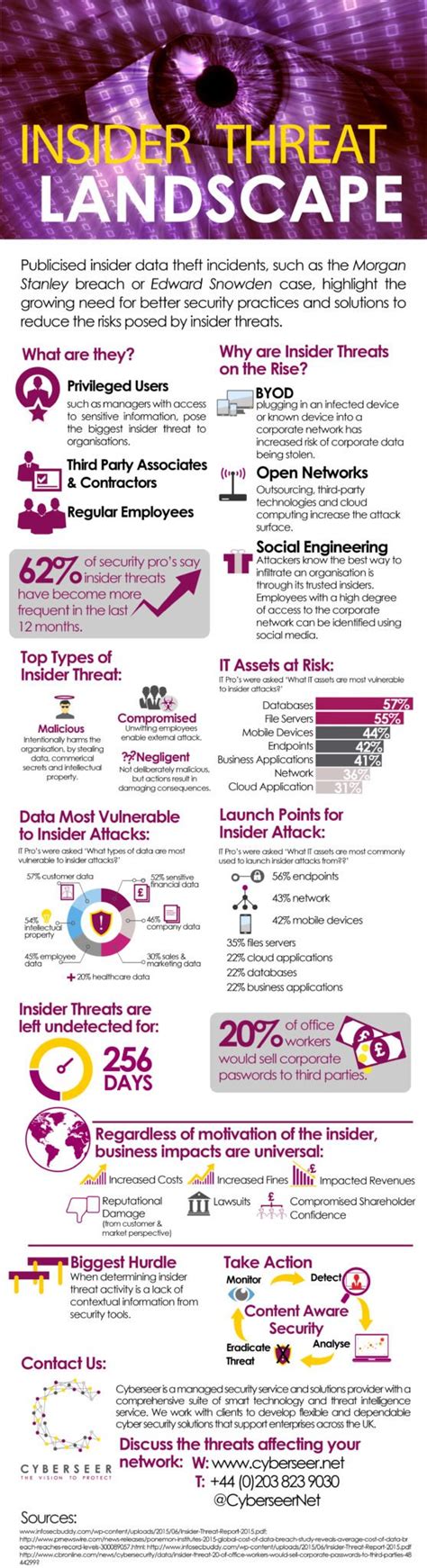 Infographic - The Insider Threat Landscape