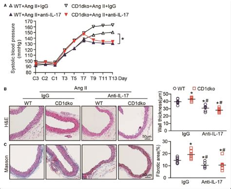 Il 17a Neutralizing Antibody Alleviates Ang Ii Induced Hypertension And