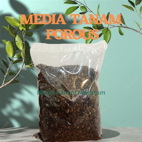 Jual Media Tanam Aglonema Siap Pakai Media Tanam Porous Shopee