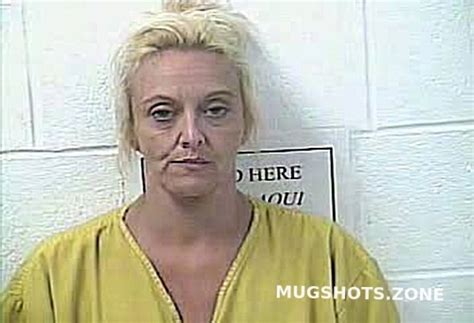 Nesmith Jillian Michelle Daviess County Mugshots Zone