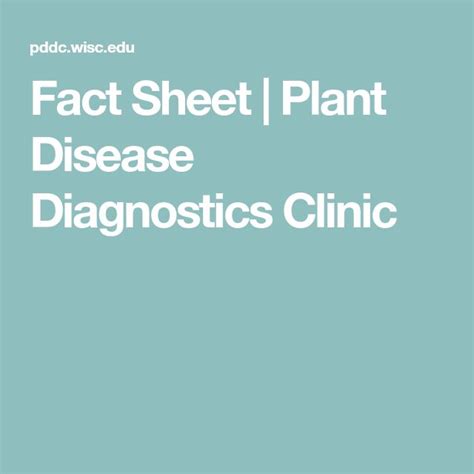 Fact Sheet Plant Disease Diagnostics Clinic