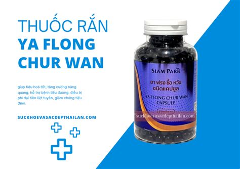 Giải pháp cho xướng khớp từ thuốc rắn Ya Flong Chur Wan