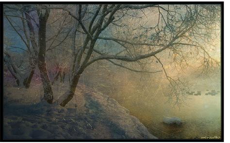 Wallpaper Sunlight Painting Forest Sunset Nature Winter Branch