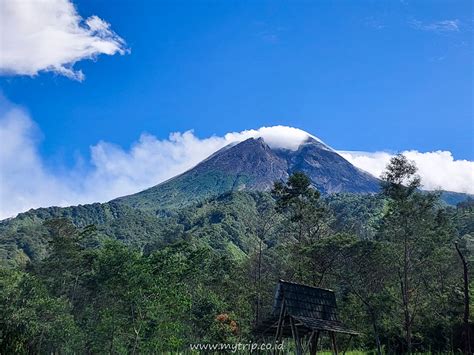 Mau Melihat Gunung Merapi Dari Dekat Tanpa Mendaki Ke Bukit Klangon Aja